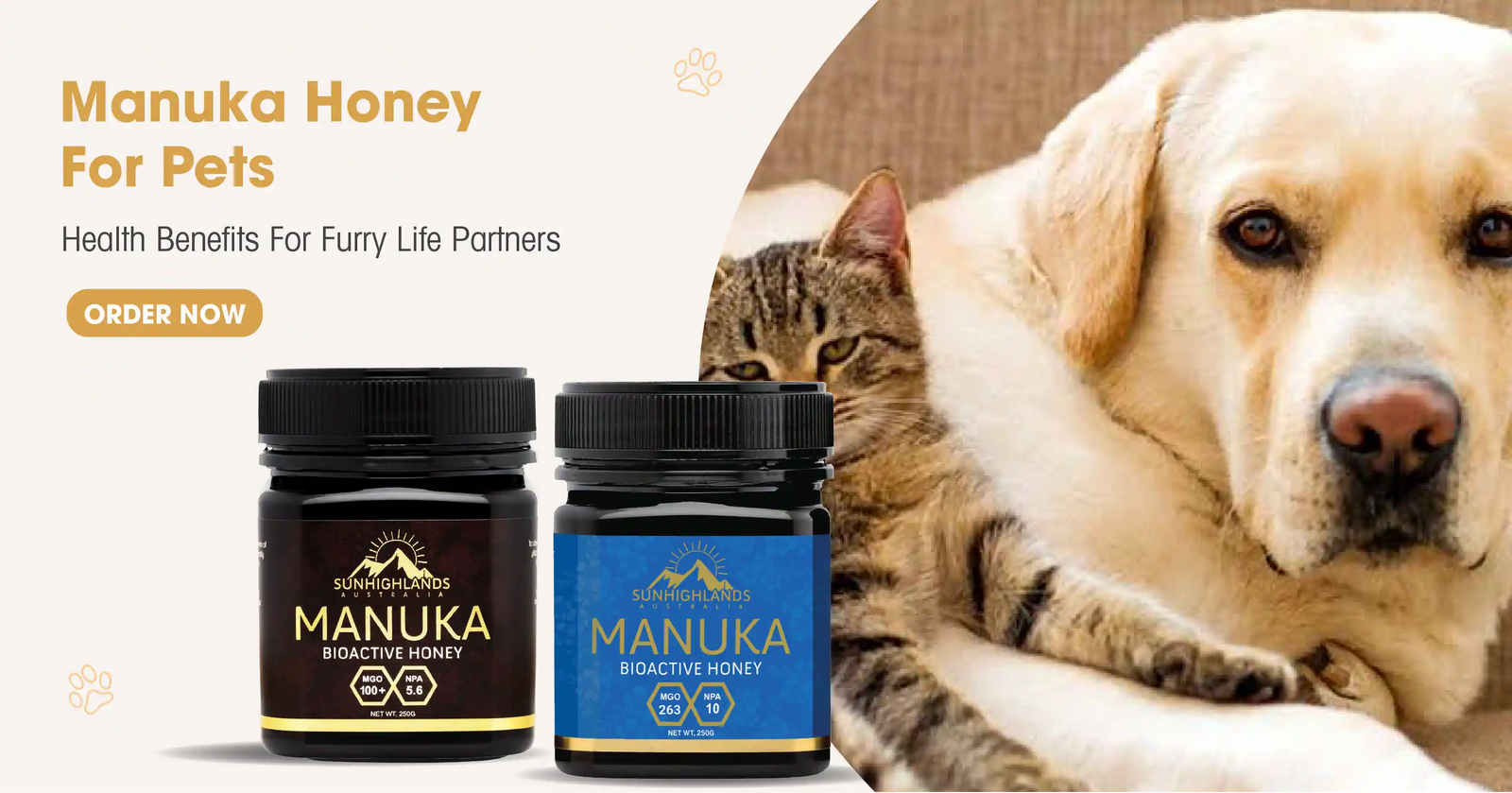 Manuka Honey For Pet: Health Benefits For Furry Life Partners