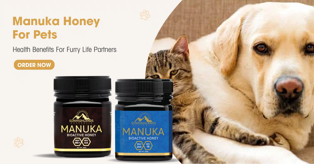 Manuka Honey For Pets: Health Benefits For Furry Life Partners