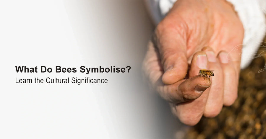What Do Bees Symbolise? Learn the Cultural Significance