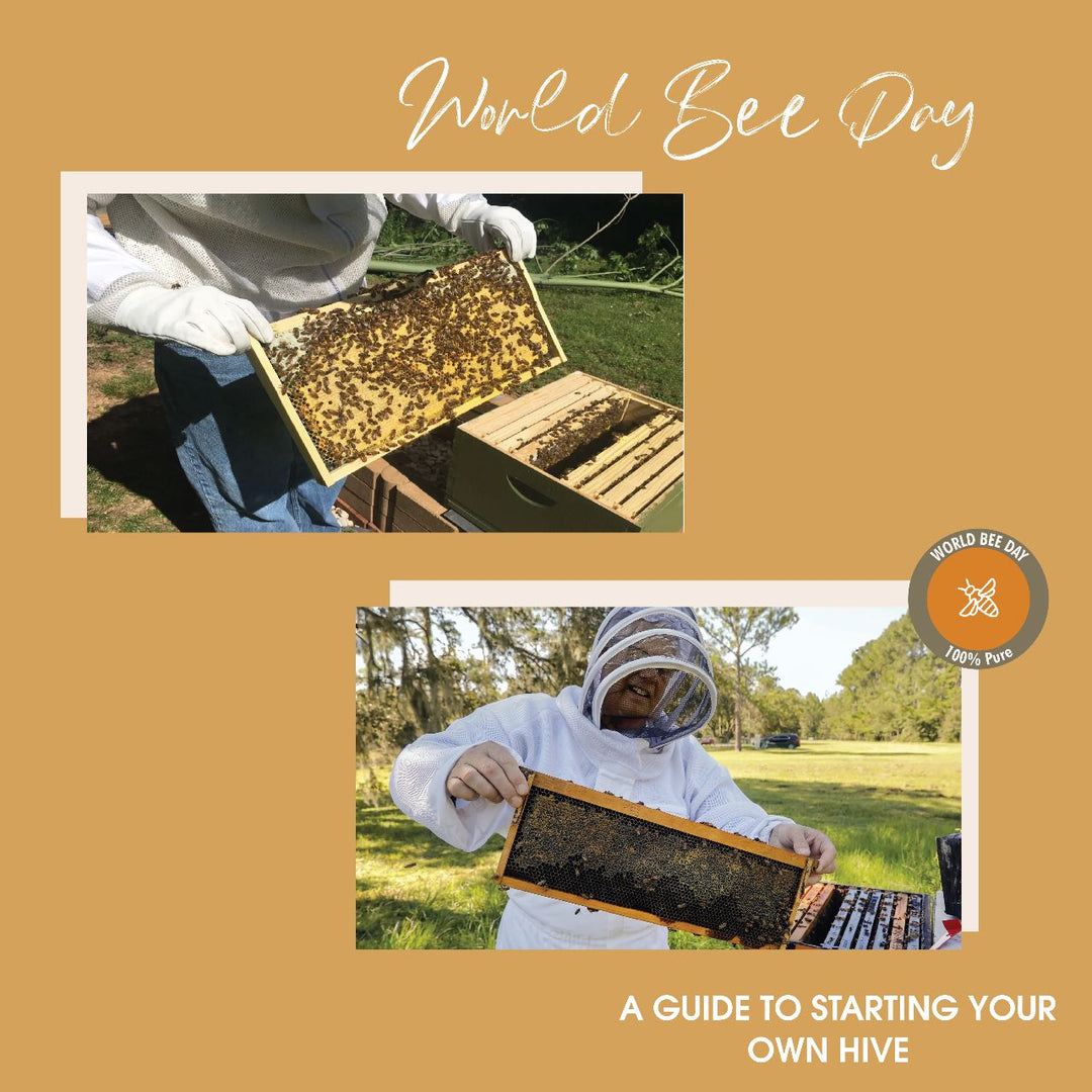 Celebrating World Bee Day 2023 With Sunhighlands