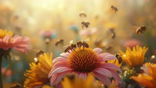Comment les abeilles fabriquent le miel