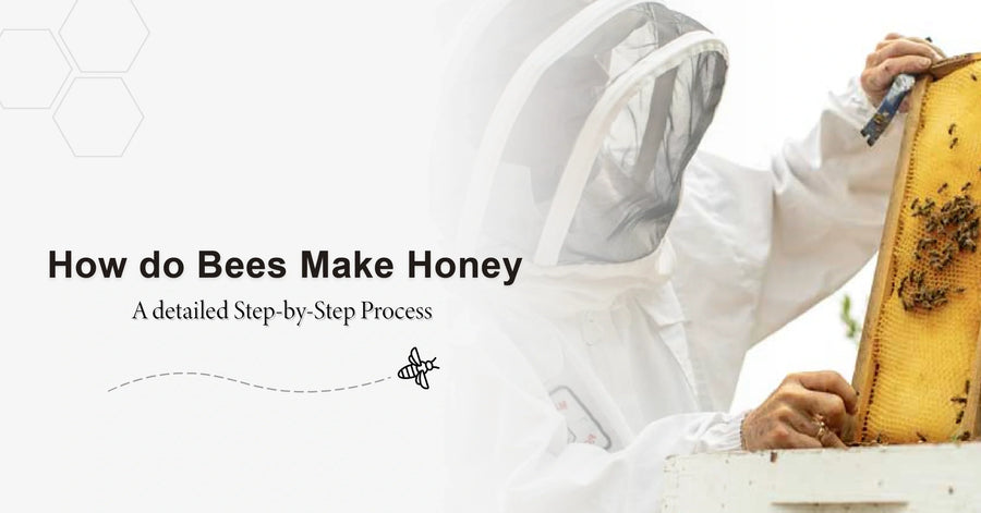 Why and How Do Bees Make Honey? A Detailed Step-by-Step Process