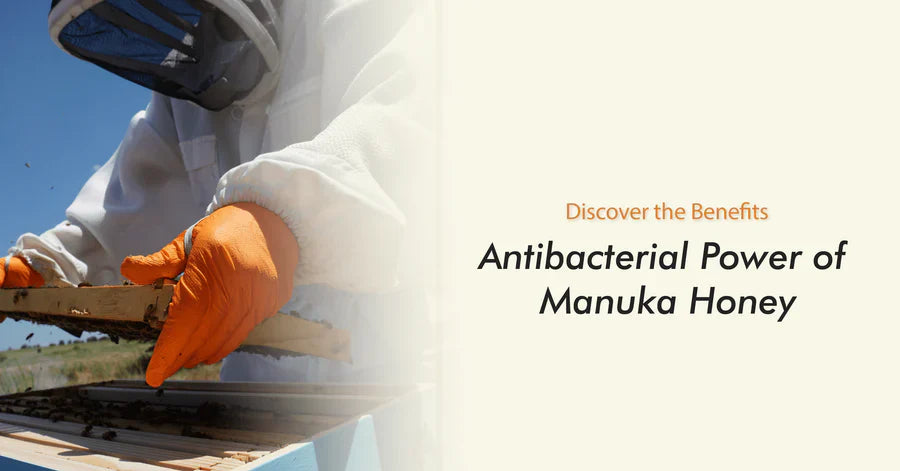 Antibacterial Power of Manuka Honey: Discover the Benefits