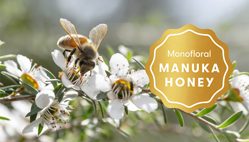 Why Sydney Residents Are Choosing Monofloral Manuka Honey in 2026