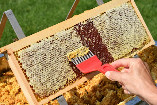Does Manuka Honey Expire? The Truth About Liquid Gold