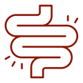 Digestive Comfort