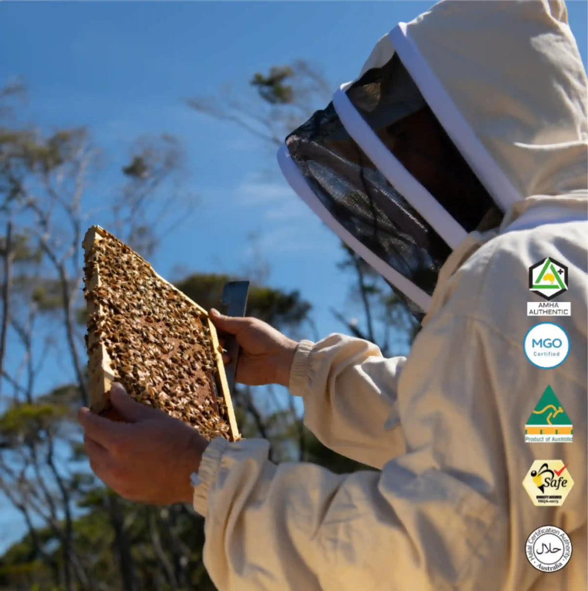 Manuka honey