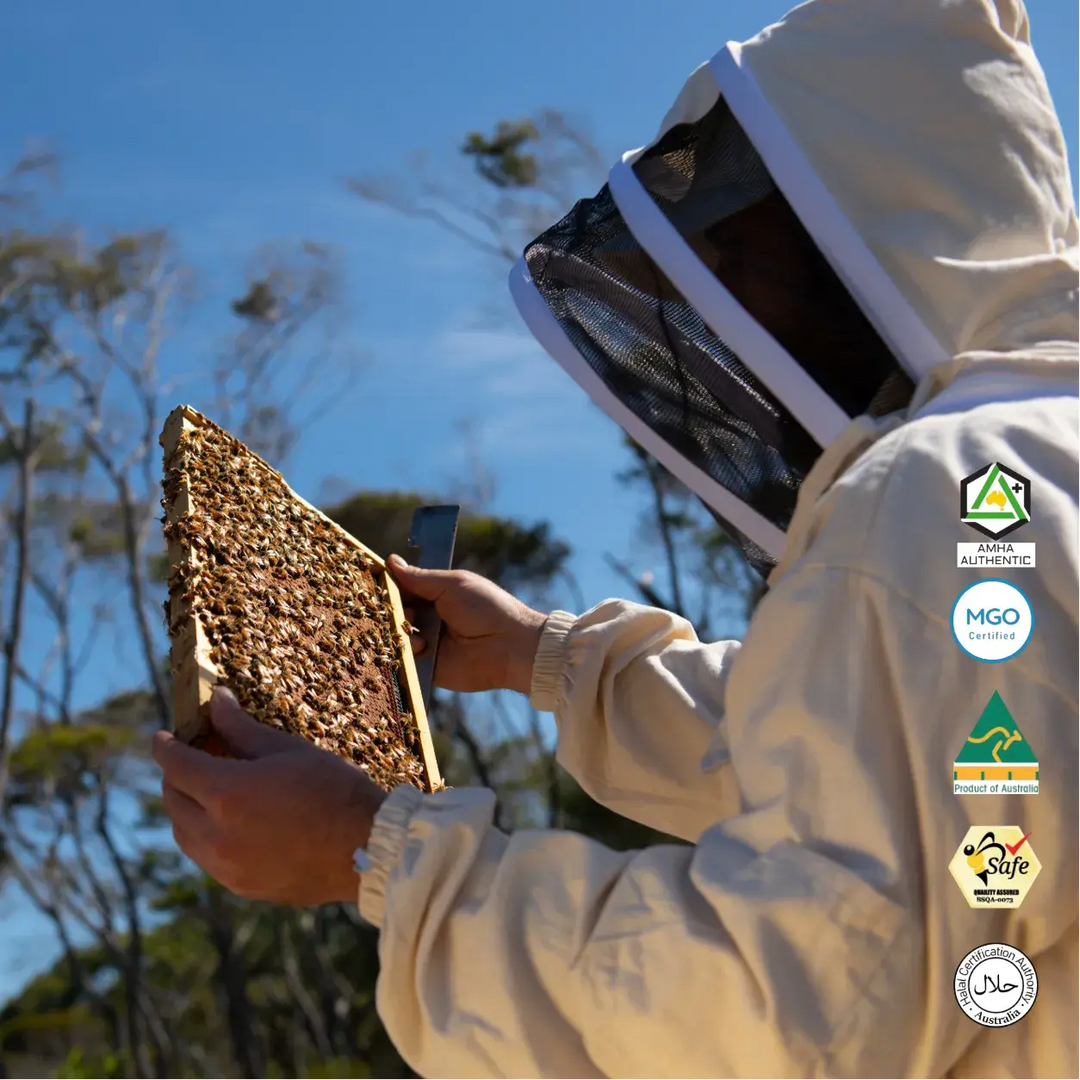 Manuka Honey MGO 850+ (EQV  UMF 20+) | 3 Jars of 250g | Prime Bundle