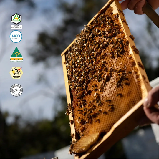 Manuka Honey MGO 263+ (EQV  UMF 10+) | 3 Jars of 250g | Prime Bundle