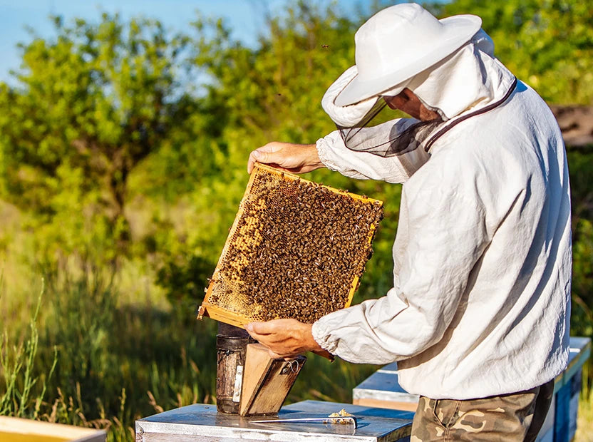 Manuka Honey MGO 1500+ 250g